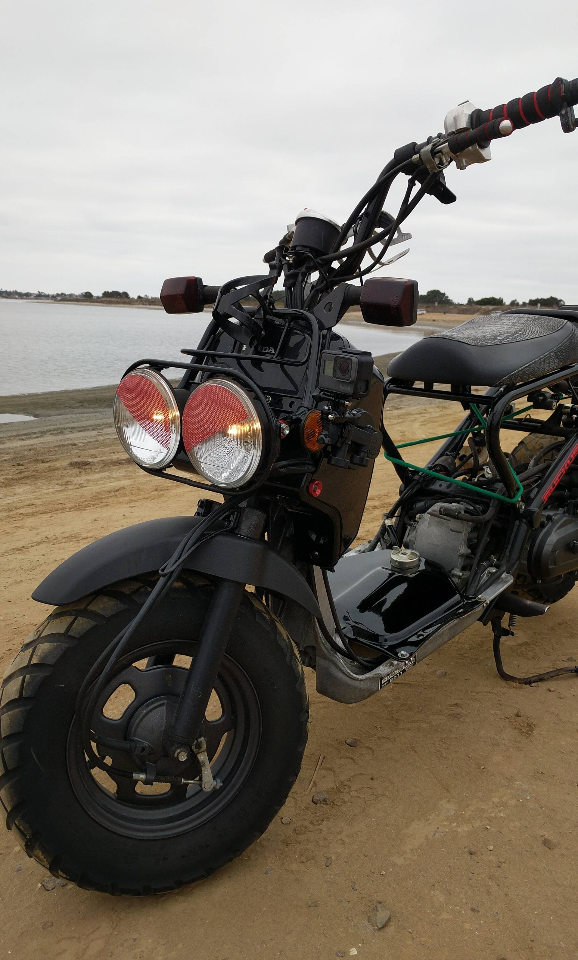 honda_ruckus